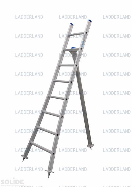 

<!-- THEME DEBUG -->
<!-- THEME HOOK: 'field' -->
<!-- FILE NAME SUGGESTIONS:
   ▪️ field--node--title--ladder.html.twig
   ✅ field--node--title.html.twig
   ▪️ field--node--ladder.html.twig
   ▪️ field--title.html.twig
   ▪️ field--string.html.twig
   ▪️ field.html.twig
-->
<!-- BEGIN OUTPUT from 'core/modules/node/templates/field--node--title.html.twig' -->

<span>Solide G - 8 sporten</span>

<!-- END OUTPUT from 'core/modules/node/templates/field--node--title.html.twig' -->


