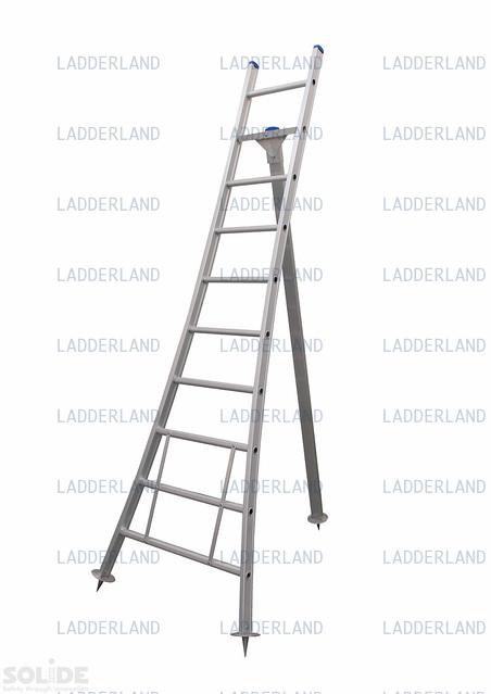 

<!-- THEME DEBUG -->
<!-- THEME HOOK: 'field' -->
<!-- FILE NAME SUGGESTIONS:
   ▪️ field--node--title--ladder.html.twig
   ✅ field--node--title.html.twig
   ▪️ field--node--ladder.html.twig
   ▪️ field--title.html.twig
   ▪️ field--string.html.twig
   ▪️ field.html.twig
-->
<!-- BEGIN OUTPUT from 'core/modules/node/templates/field--node--title.html.twig' -->

<span>Solide G - 10 sporten</span>

<!-- END OUTPUT from 'core/modules/node/templates/field--node--title.html.twig' -->

