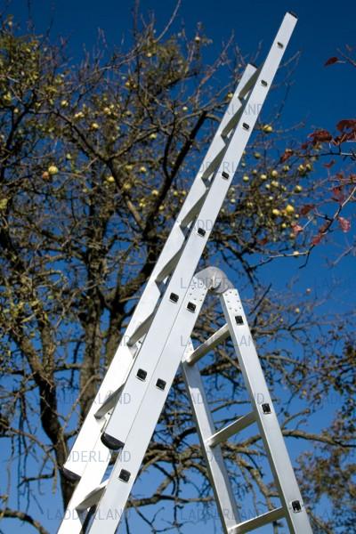 verlengladder